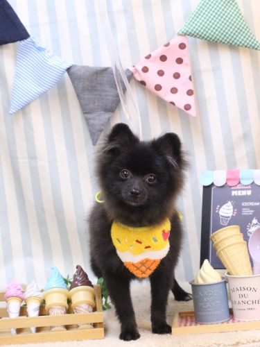 20250522ロアくん